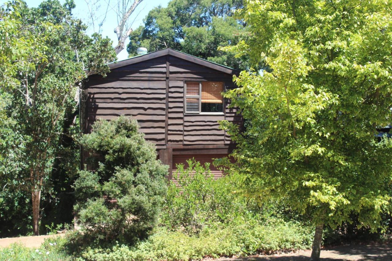 Treehouse Cottage The Crags Dış mekan fotoğraf