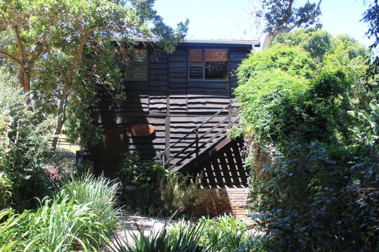 Treehouse Cottage The Crags Dış mekan fotoğraf