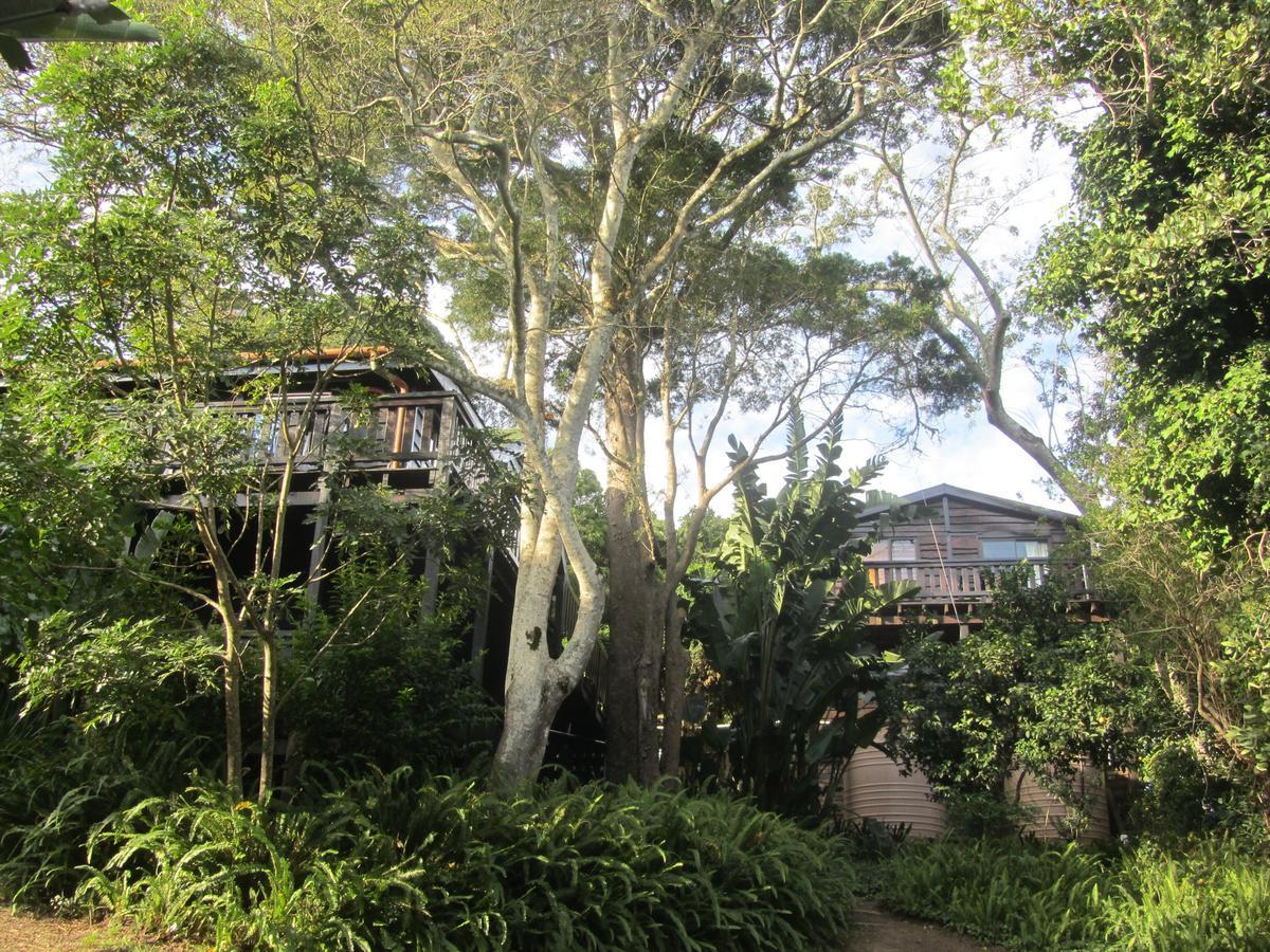 Treehouse Cottage The Crags Dış mekan fotoğraf
